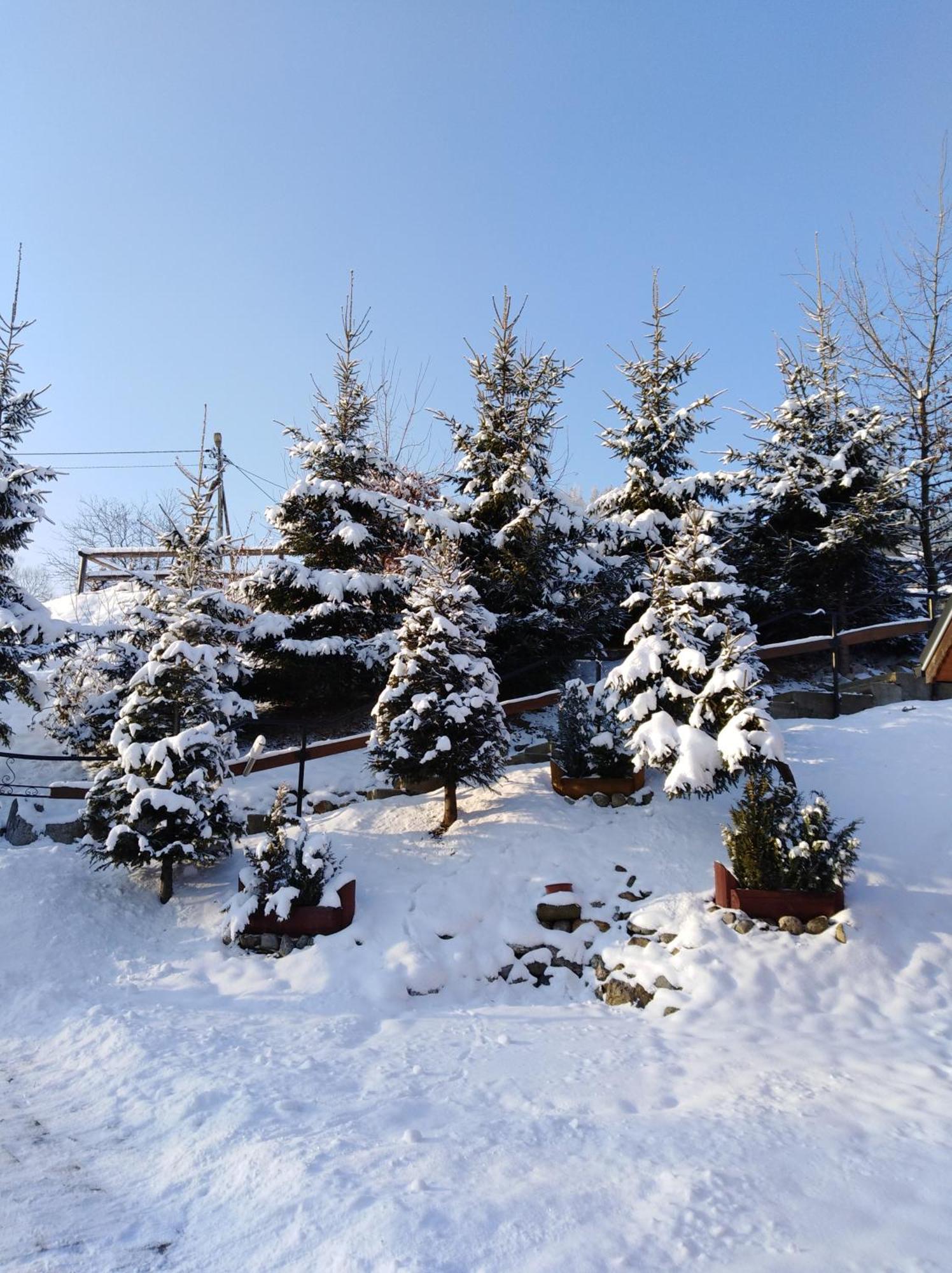 Inksy Domek Harenda Zakopane Extérieur photo