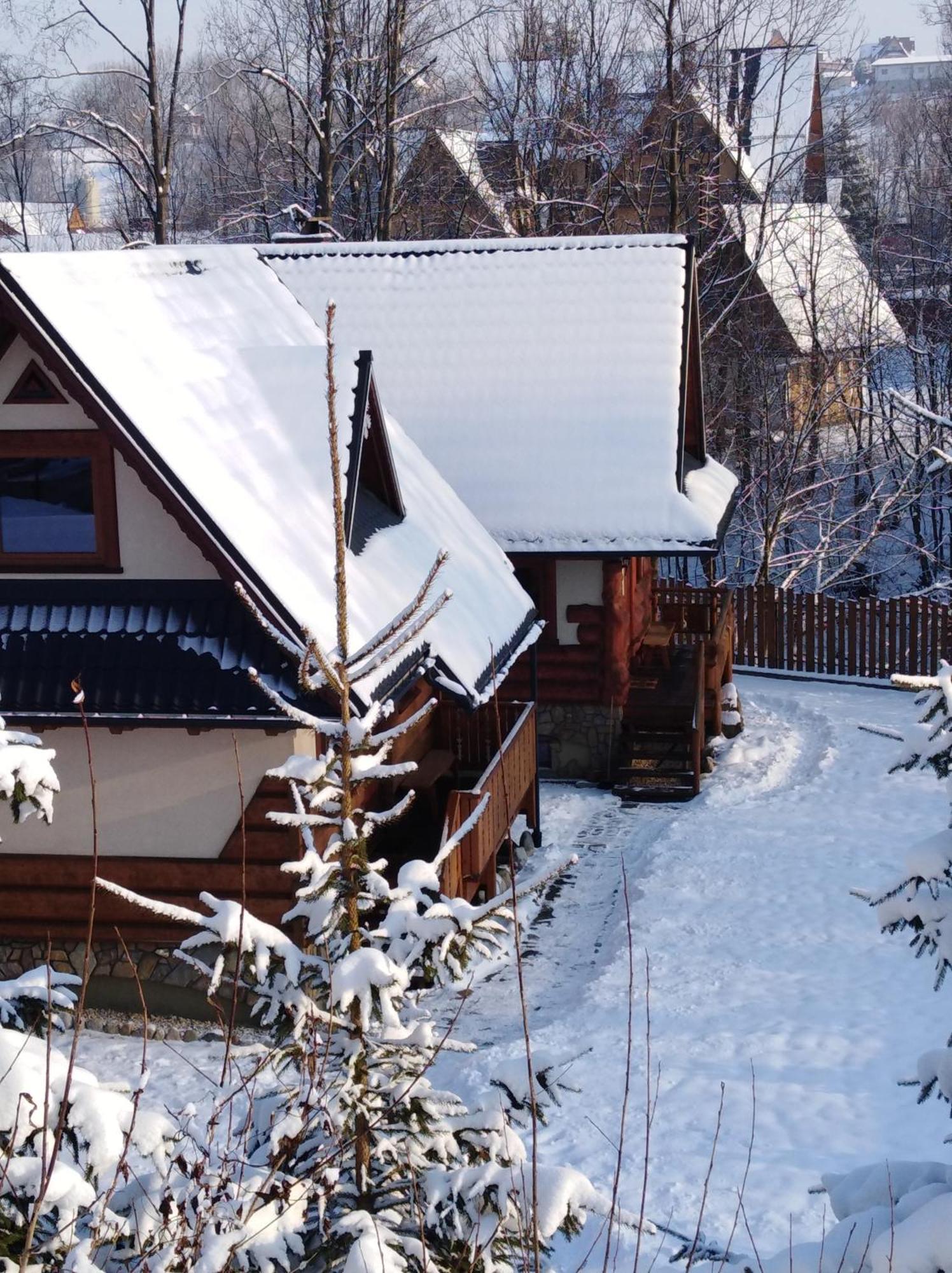 Inksy Domek Harenda Zakopane Extérieur photo